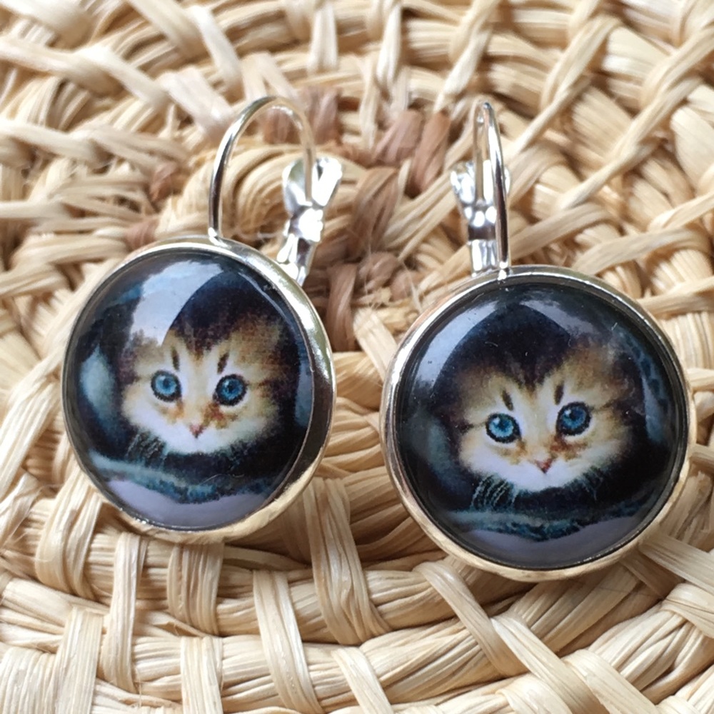 Blue eyed cat faces